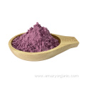 Freeze-Dried Natural Fresh Mulberry Powder